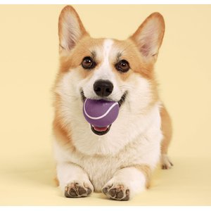 Playology Bacon Scented Squeaky Chew Ball Dog Toy, Medium