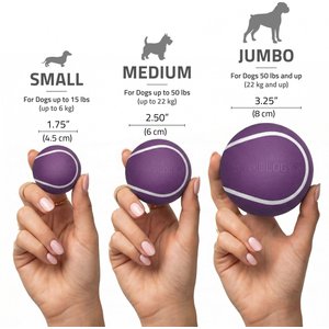 Playology Bacon Scented Squeaky Chew Ball Dog Toy, Medium