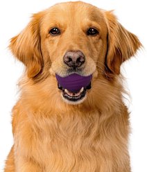 Playology Bacon Scented Dual Layer Ball Dog Toy, Jumbo slide 2 of 7