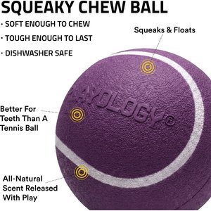 Playology Bacon Scented Squeaky Chew Ball Dog Toy, Medium