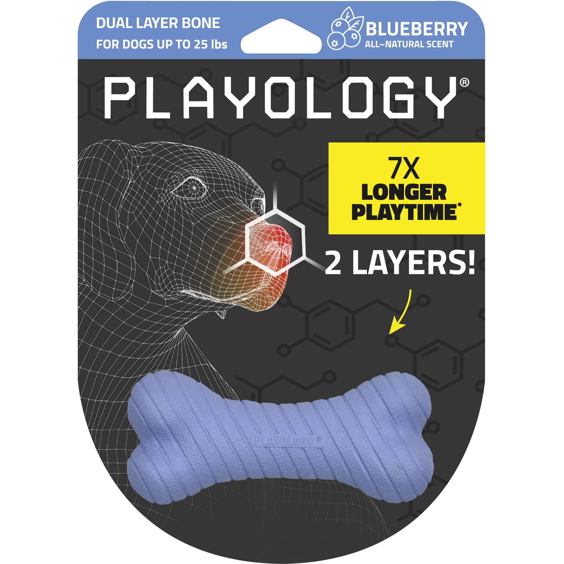 Playology Blueberry Scented Dual Layer Bone Dog Toy, Small