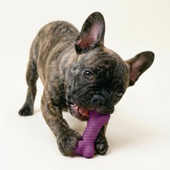 Playology Bacon Scented Dual Layer Bone Dog Toy, Small slide 2 of 7