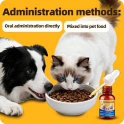 Cassiel Pet Urinary Tract Care Drops Health Solution Supplement for Dogs & Cats, 0.84-fl oz slide 2 of 9
