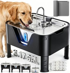 Deftpet Modern 4 Heights Adjustable Elevated Stainless Steel Dog Water Fountain, Silver/Black, 12-L