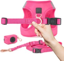 DOGISTRY Adjustable City Dog Collar, Park Ave Pink, Large: 16 to 25-in neck, 1-in wide slide 2 of 3