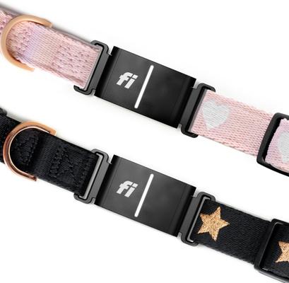 Show full view: DOGISTRY x Fi Sweetheart 3+ Dog Collar Band, Large: 16 to 22-in neck, 1-in wide slide 4 of 4