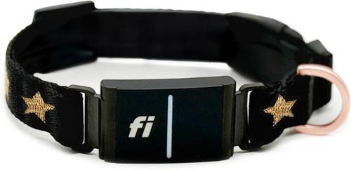 Show full view: DOGISTRY x Fi Rockstar 3+ Dog Collar Band, Medium: 13 to 16-in neck, 1-in wide slide 5 of 8