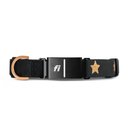 DOGISTRY x Fi Rockstar 3+ Dog Collar Band, Large: 16 to 22-in neck, 1-in wide