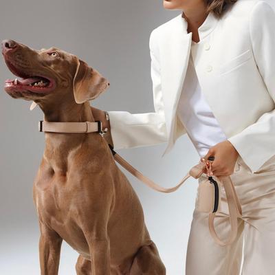 Show full view: DOGISTRY 3-in-1 Adjustable City Dog Leash, Dune, Medium: 6-ft long, 3/4-in wide slide 3 of 4