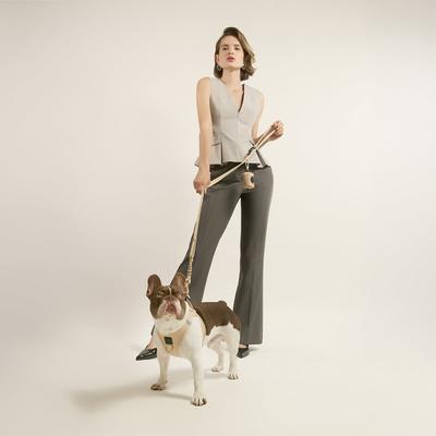 Show full view: DOGISTRY 3-in-1 Adjustable City Dog Leash, Dune, Medium: 6-ft long, 3/4-in wide slide 4 of 4
