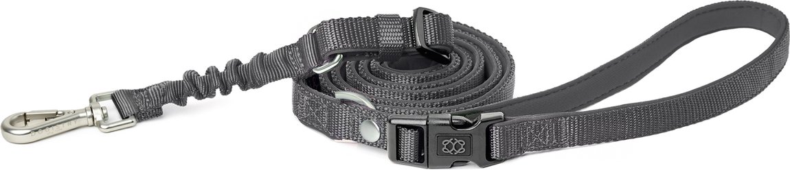 DOGISTRY 3-in-1 Adjustable City Dog Leash, Steel, Small: 6-ft long, 5/8-in wide