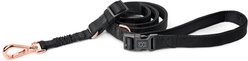 DOGISTRY 3-in-1 Adjustable City Dog Leash, Black, Medium: 6-ft long, 3/4-in wide