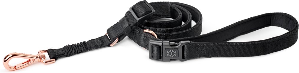 DOGISTRY 3-in-1 Adjustable City Dog Leash, Black, Medium: 6-ft long, 3/4-in wide