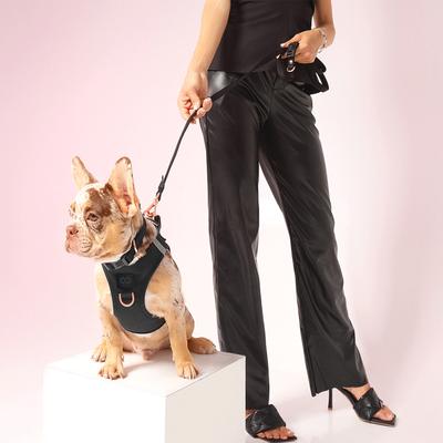 Show full view: DOGISTRY 3-in-1 Adjustable City Dog Leash, Black, Medium: 6-ft long, 3/4-in wide slide 4 of 4