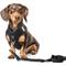 Show in main carousel: DOGISTRY 3-in-1 Adjustable City Dog Leash, Black, Medium: 6-ft long, 3/4-in wide slide 3 of 4