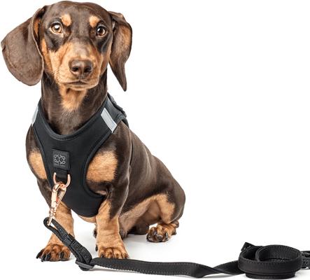Show full view: DOGISTRY 3-in-1 Adjustable City Dog Leash, Black, Medium: 6-ft long, 3/4-in wide slide 3 of 4