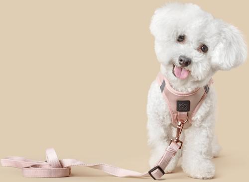 Show full view: DOGISTRY SoHo Step-In Dog Harness, Blush, X-Large: 18 to 20.5-in chest slide 6 of 7