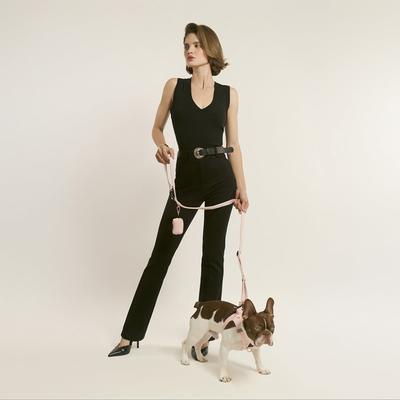Show full view: DOGISTRY Clip-On Poop Bag Holder, Blush slide 3 of 4