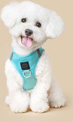 DOGISTRY SoHo Step-In Dog Harness, Fifth Avenue Blue, X-Large: 18 to 20.5-in chest slide 2 of 5