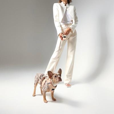 Show full view: DOGISTRY SoHo Step-In Dog Harness, Dune, Large: 16 to 18-in chest slide 4 of 8