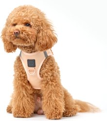 DOGISTRY SoHo Step-In Dog Harness, Dune, Small: 13 to 14.5-in chest slide 2 of 8