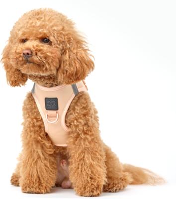 Show full view: DOGISTRY SoHo Step-In Dog Harness, Dune, Large: 16 to 18-in chest slide 8 of 8