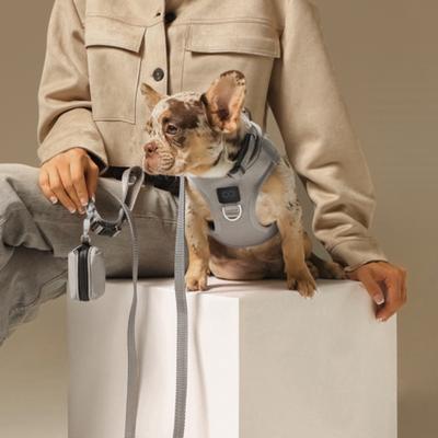 Show full view: DOGISTRY SoHo Step-In Dog Harness, Steel, Large: 16 to 18-in chest slide 5 of 6