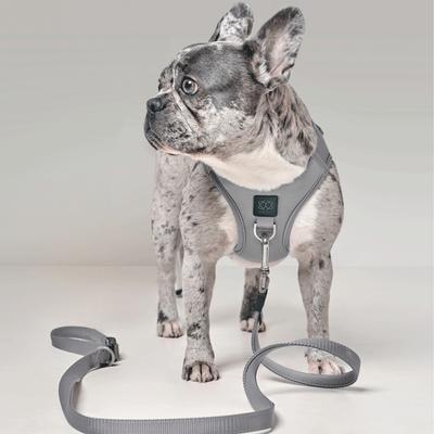 Show full view: DOGISTRY SoHo Step-In Dog Harness, Steel, Large: 16 to 18-in chest slide 2 of 6