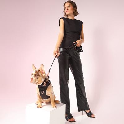 Show full view: DOGISTRY SoHo Step-In Dog Harness, Black, X-Large: 18 to 20.5-in chest slide 6 of 8