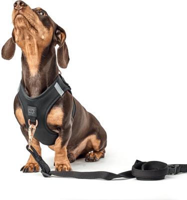 Show full view: DOGISTRY SoHo Step-In Dog Harness, Black, X-Large: 18 to 20.5-in chest slide 4 of 8