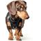 Show in main carousel: DOGISTRY SoHo Step-In Dog Harness, Black, X-Large: 18 to 20.5-in chest slide 2 of 8