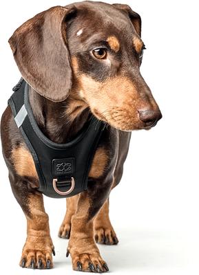 Show full view: DOGISTRY SoHo Step-In Dog Harness, Black, X-Large: 18 to 20.5-in chest slide 2 of 8