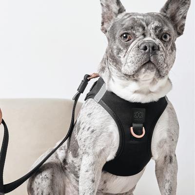 Show full view: DOGISTRY SoHo Step-In Dog Harness, Black, X-Large: 18 to 20.5-in chest slide 7 of 8