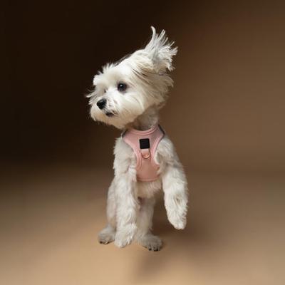 Show full view: DOGISTRY SoHo Step-In Dog Harness, Blush, X-Large: 18 to 20.5-in chest slide 7 of 7