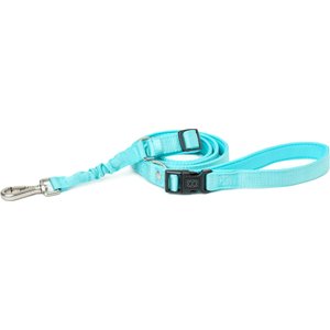 DOGISTRY 3-in-1 Adjustable City Dog Leash, Fifth Avenue Blue, Medium: 6-ft long, 3/4-in wide