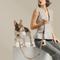 Show in main carousel: DOGISTRY 3-in-1 Adjustable City Dog Leash, Dune, Medium: 6-ft long, 3/4-in wide slide 2 of 4