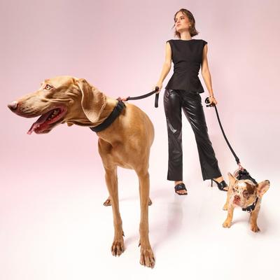 Show full view: DOGISTRY 3-in-1 Adjustable City Dog Leash, Black, Medium: 6-ft long, 3/4-in wide slide 2 of 4