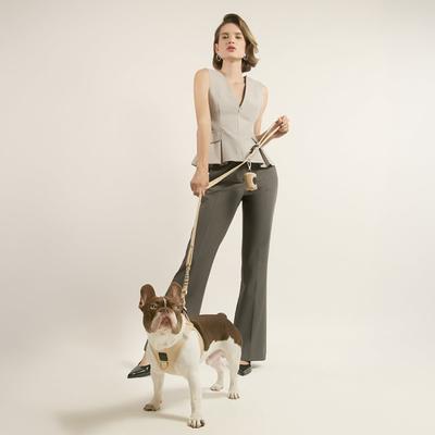 Show full view: DOGISTRY SoHo Step-In Dog Harness, Dune, Large: 16 to 18-in chest slide 3 of 8