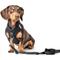 Show in main carousel: DOGISTRY SoHo Step-In Dog Harness, Black, X-Large: 18 to 20.5-in chest slide 3 of 8