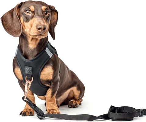 Show full view: DOGISTRY SoHo Step-In Dog Harness, Black, X-Large: 18 to 20.5-in chest slide 3 of 8