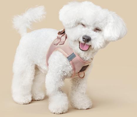 Show full view: DOGISTRY SoHo Step-In Dog Harness, Blush, X-Large: 18 to 20.5-in chest slide 2 of 7