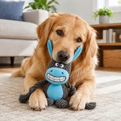 NonoPets Double Layer Fabric Crinkle Paper Rope Tug Squeaky Plush Dog Toy with Built In Squeaker, Grey