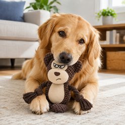 NonoPets Double Layer Fabric Crinkle Paper Rope Tug Squeaky Plush Dog Toy with Built In Squeaker, Brown