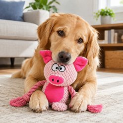 NonoPets Double Layer Fabric Crinkle Paper Rope Tug Squeaky Plush Dog Toy with Built In Squeaker, Pink