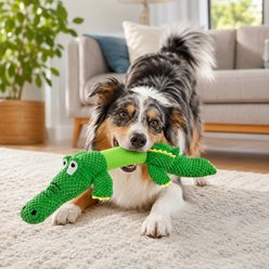 NonoPets Green Crocodile Plush Squeaky Interactive Chew Toy Durable Stuffed Dog Toy