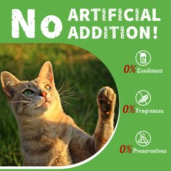 Just Try Cat Grass & Chicken Crunchy Cat Treats, 16-oz slide 2 of 9