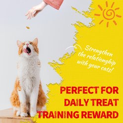 Just Try Chicken Crunchy Cat Treats, 16-oz slide 2 of 9