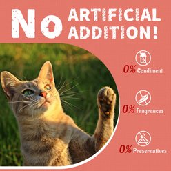 Just Try Salmon Crunchy Cat Treats, 16-oz slide 2 of 9