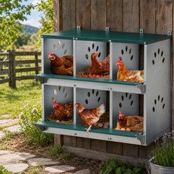 Thanaddo 6-Compartment Galvanized Steel Rustproof Metal Chicken Nest Box slide 2 of 8