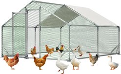Thanaddo Outdoor Metal Poultry Coop, Large: 118 x 157-in